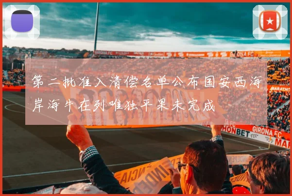 第二批准入清偿名单公布国安西海岸海牛在列唯独平果未完成
